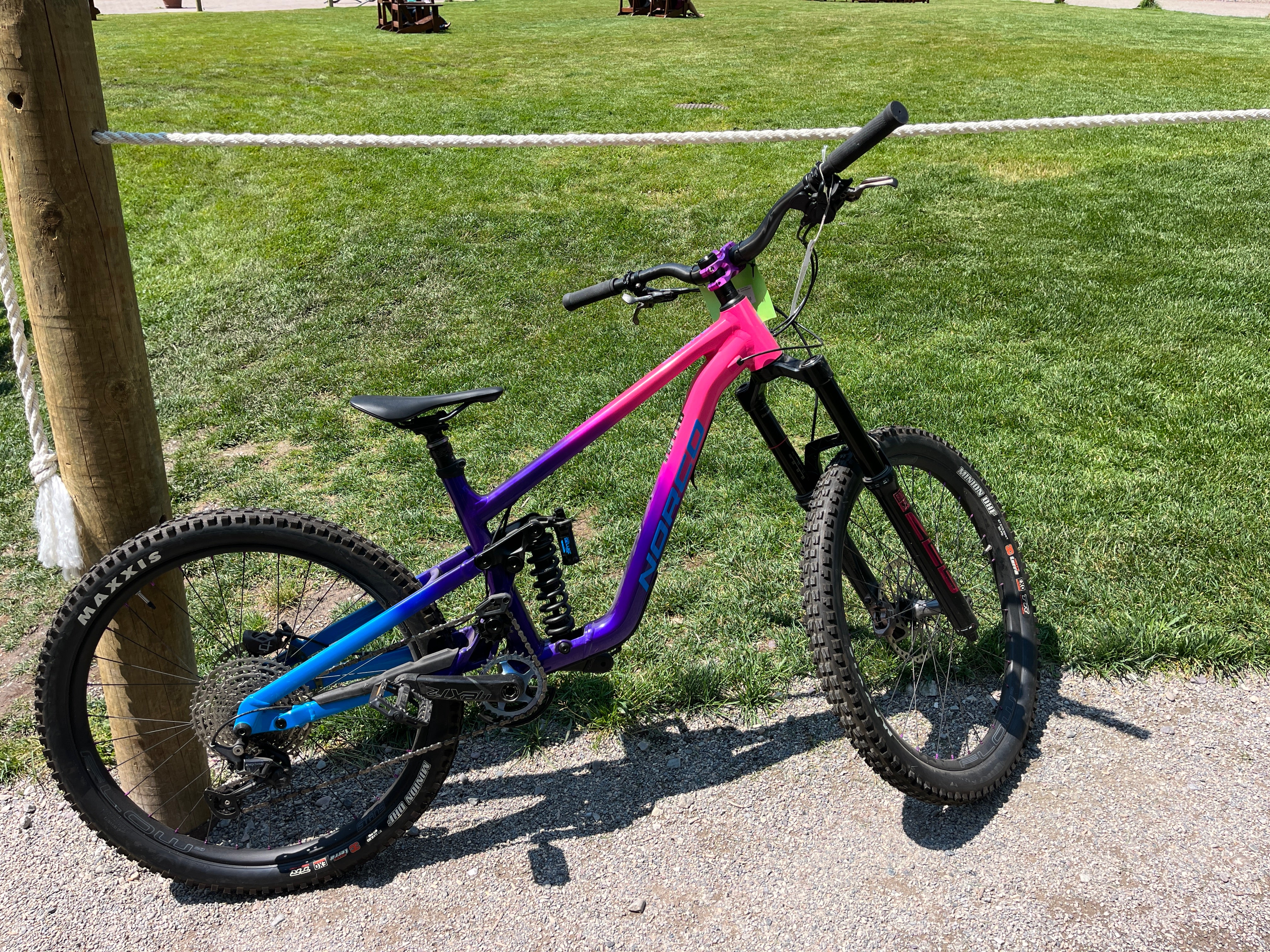Norco Shore Medium