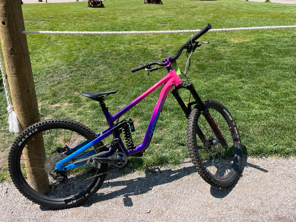 Norco Shore Medium