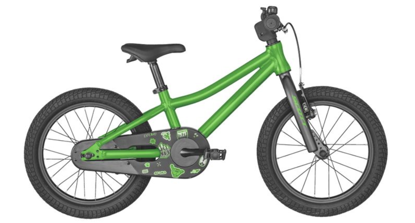 Scott Roxter 16"